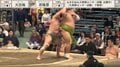 帰ってきた若隆景が強すぎて喝采! 巨漢力士が遥か土俵の外へ…「勝ち方がえげつなくて」「イリュージョン」ファン興奮
