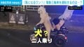 「風になるワン！」犬が電動三輪車を運転 子ども乗せて路上走行も 中国SNSで非難殺到