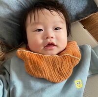 しょうくん『ごつん?』