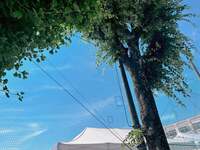 辻希美『運動会』