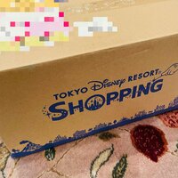 小泉貴之『姉家族からディズニーの贈り物』