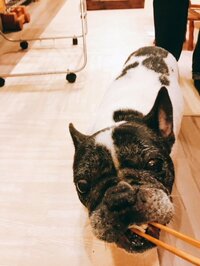 松居直美『拝啓』