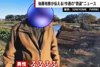 【映像】野菜泥棒を問い詰める生産者