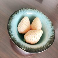 加護亜依『助け愛♡』