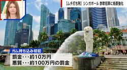 ガム、電子タバコ、他人のWi-Fiに接続…シンガポールの意外な罰金制度に驚き