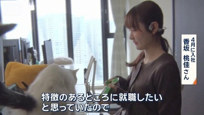 入社理由は？