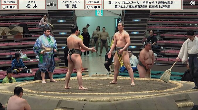 「力士には見えない」「普通のお兄さん」超モデル体型のイケメン力士、破竹の4連勝 「ギャップがすごい」取組の迫力に驚き  3枚目