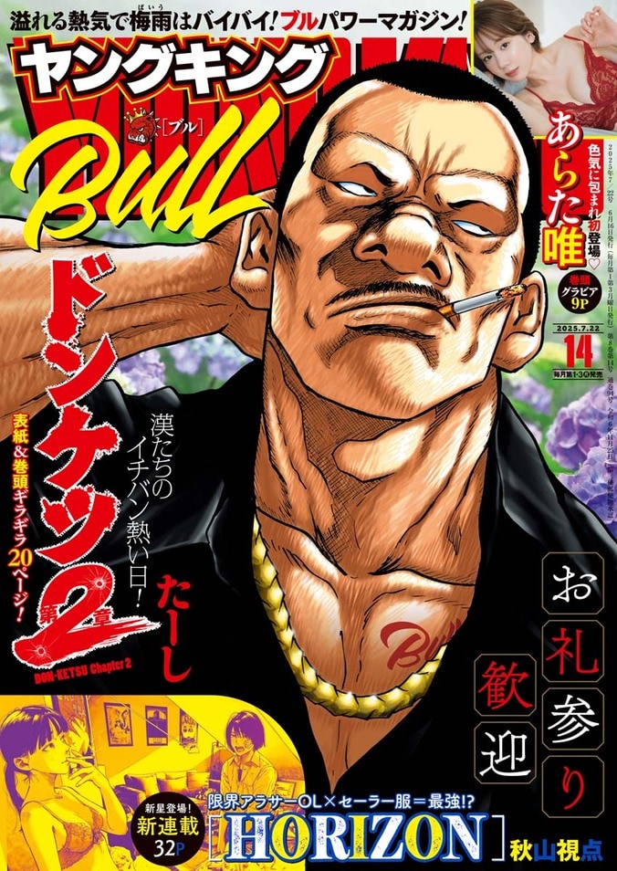 『ヤングキングBULL』2025年14号