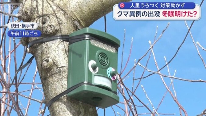 野生動物を追い払うためのスピーカー