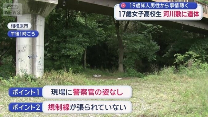専門家が着目