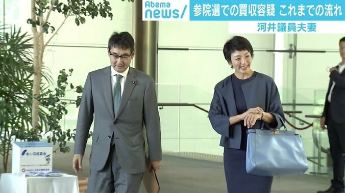 河井議員夫妻を逮捕へ、黒川氏問題による検察側の“意地”も？ 元検事「現場の“真相解明”への意識が高まった面も」 1枚目