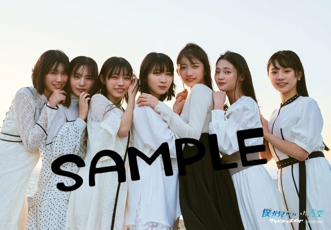 限定絵柄クリアファイル:セブンネット(僕が見たかった青空)