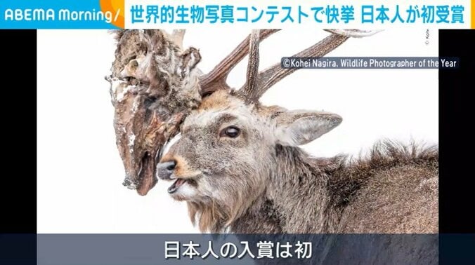 柳楽さんの作品