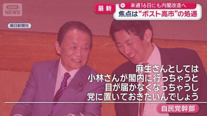 目をかける麻生副総裁の意向があったという