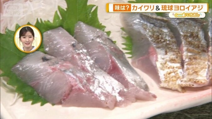 2種のアジを食べ比べ