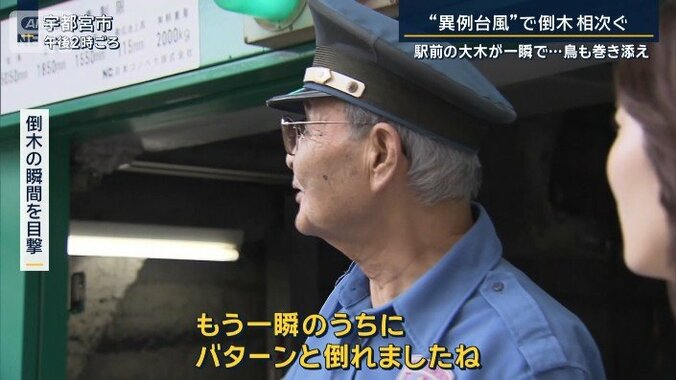 倒木の瞬間を目撃した人