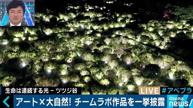 「アートと大自然をボーダレスに」チームラボが挑む新境地 9枚目