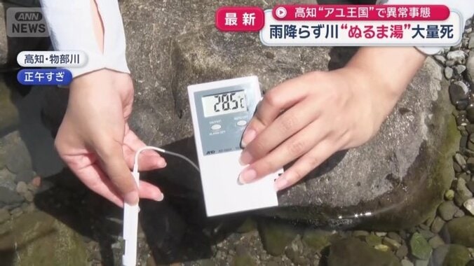 30℃に近い水温