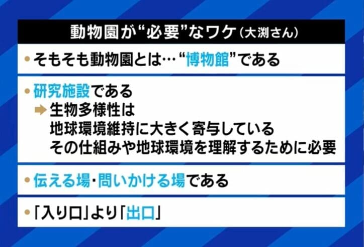 【写真・画像】ハト1羽ひき殺して逮捕・拘束は妥当？ 正当性に疑問呈する弁護士「裁判所は“令状自動発券機”だ」　5枚目