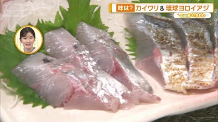 2種のアジを食べ比べ