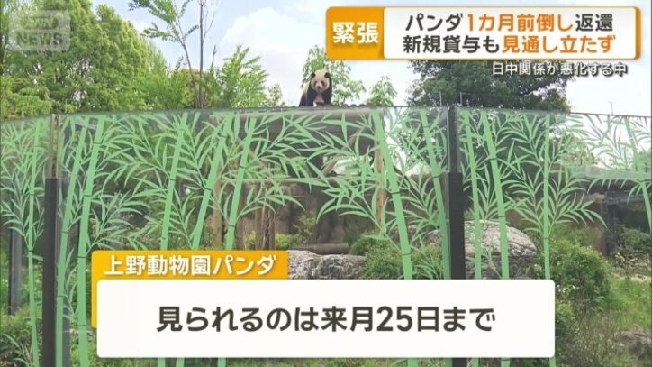 いつまで見られる？