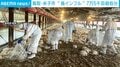 ブロイラー農場で“鳥インフルエンザ”確認 7万5000羽殺処分 鳥取・米子市