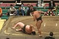え、これ相撲の技？ 元レスリング王者の力士、発生割合0.1％“衝撃珍手”炸裂 「まじかよ」“たった2秒”の出来事にどよめき