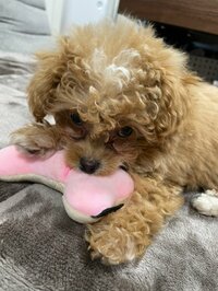 NONSTYLE井上『どうなっちゃうんだろう！？』