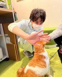 『ハンオシ』高杉真宙＆猫の“ふれあい2ショット”にファン笑顔「たまらん！」「癒されますね～」