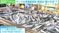 【映像】サンマの漁獲量が減った理由