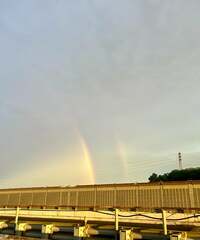 小泉進次郎『民主主義を守る。』