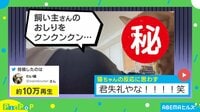 【映像】ニオイを嗅いだあとに見せた猫の“絶妙なリアクション”