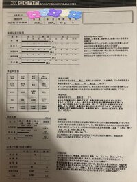 平野ノラ『体』