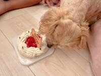 辻希美『happy birthday♡』