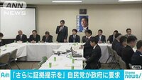 政治ニュース - レーダー照射問題　自民党「さらに証拠を示すべき」 | 動画視聴は【Abemaビデオ(AbemaTV)】