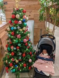 チェリー吉武『初のクリスマスに向けて』