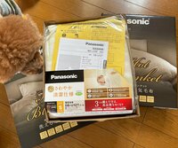 内海和子『電気敷き毛布』