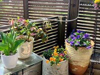 ナオコの旦那『映えない…朝ご飯』