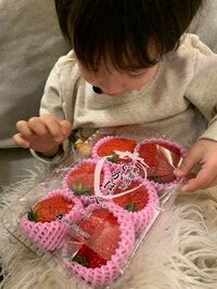 杉浦太陽『家族分のデカいちご』