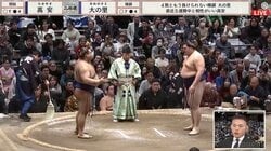 元貴景勝・湊川親方、激痩せ＆短髪へ"変化"した姿「お顔が小さい」「新入社員みたい」フレッシュな見た目に驚きの声