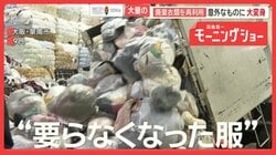 大量の廃棄衣類を再利用　建材ボードやセメントに大変身　年間56万トン捨てられ問題も
