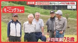 平均年齢78歳！コメ作り素人集団の挑戦　台風や猛暑に負けない新品種　稲の背丈に注目