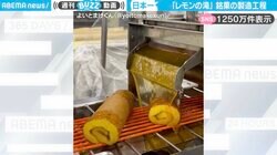 「ずっと見てられる」“レモンの滝”をたっぷりかけるロールカステラの製造工程がSNSで大反響「ベタベタ最高〜！」