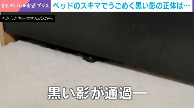ういろうちゃん