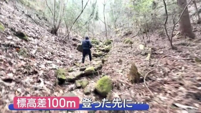標高差100メートルを登った先に…