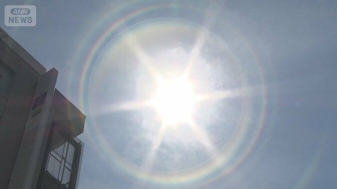 関東で猛暑日続々　今年一番の危険な暑さ 1枚目