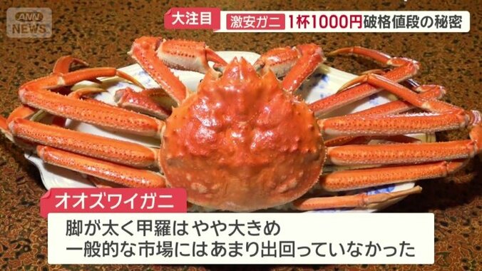 見た目はズワイガニとそっくりだが…