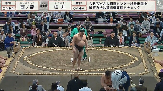 土俵下に落下した栃丸