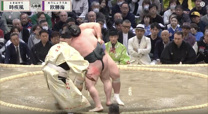 「行司さんあぶない」力士とあわや接触で慌てて後退り 「位置が」「大丈夫か」ファン騒然 2枚目