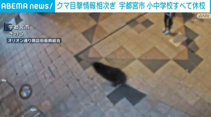 宇都宮市